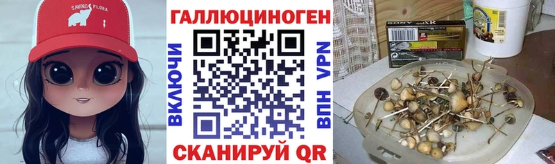 Псилоцибиновые грибы Magic Shrooms  Холм 